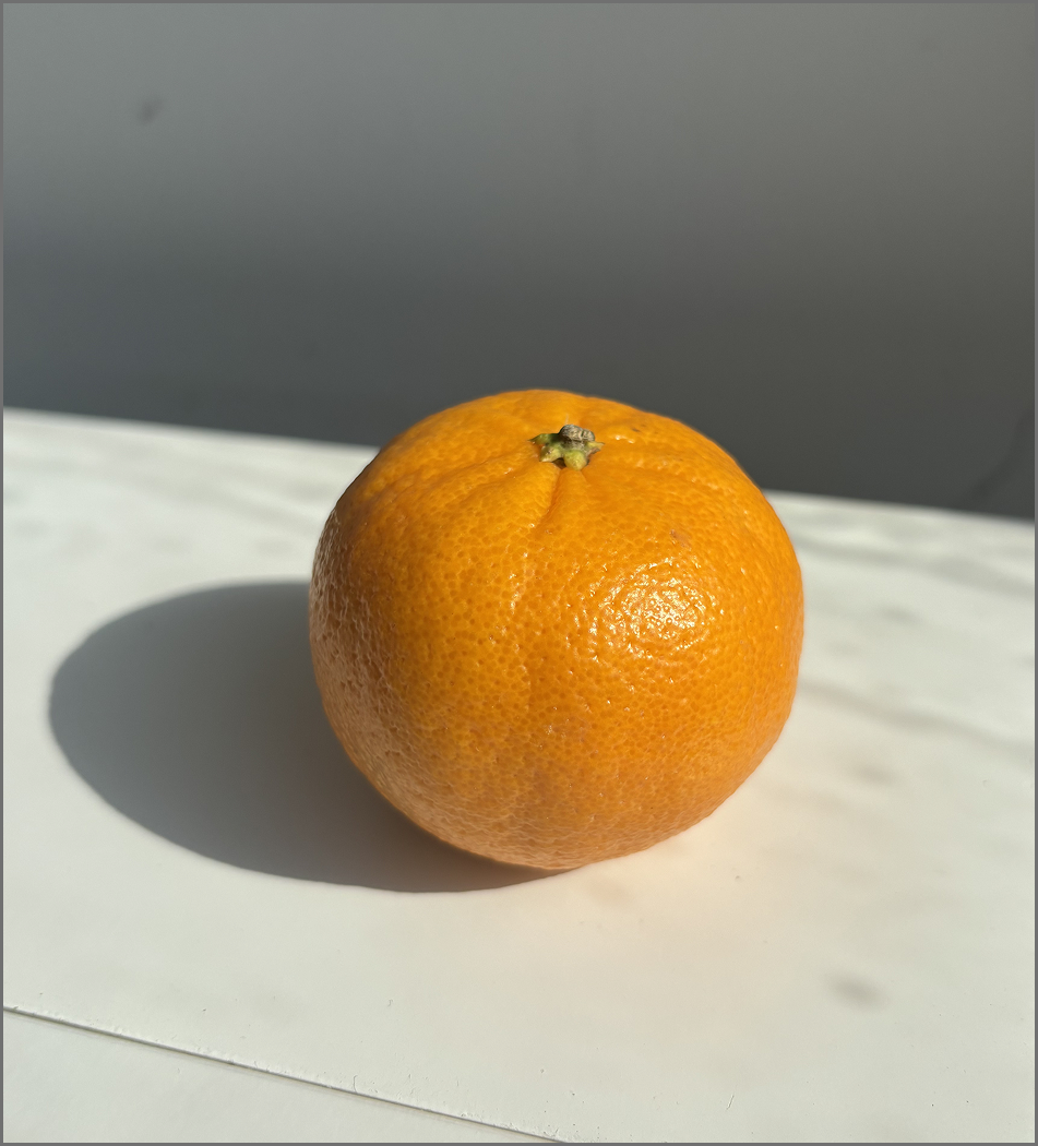 An image taken of a mandarin