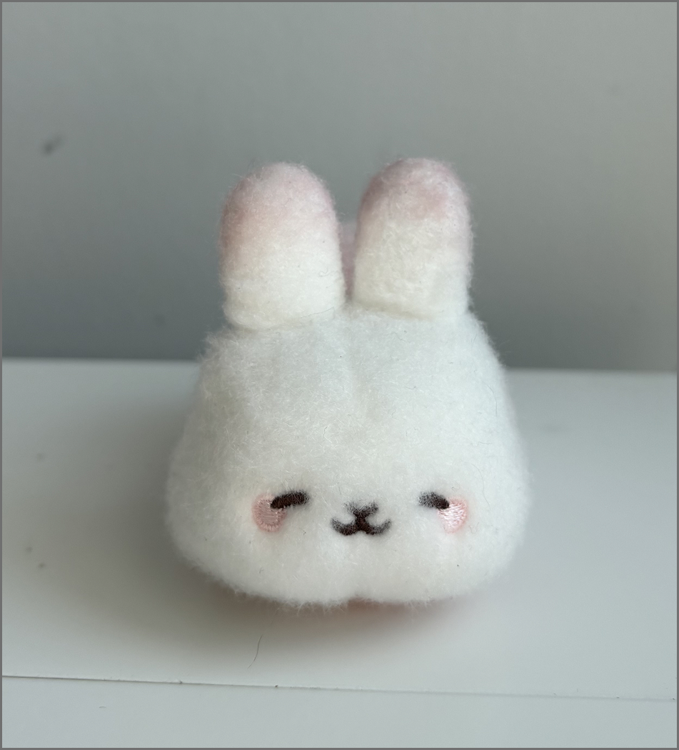 An image taken of a plushie