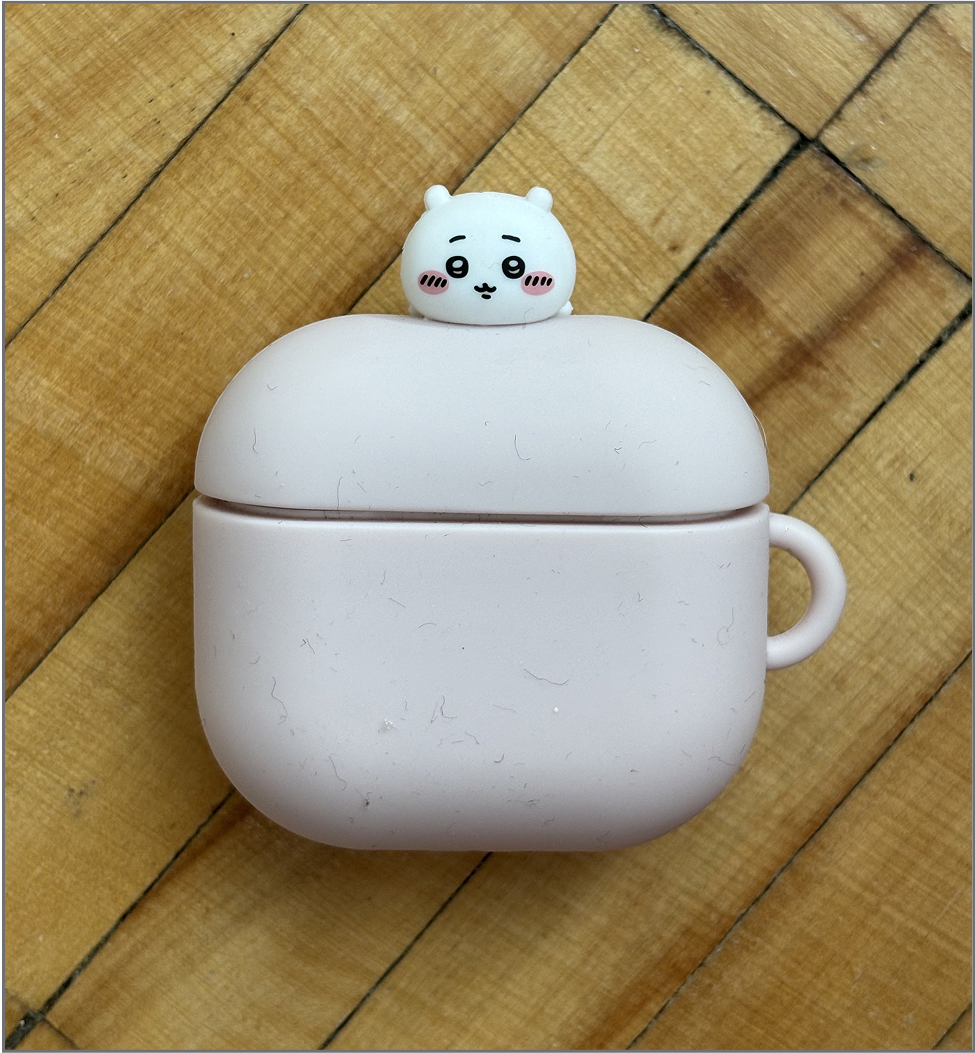 Picture of a very adorable Chikawa airpod case.