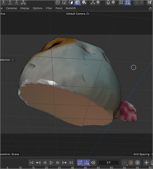 Bottom view of the cat plushie. Used white/grey colour to fill in the bottom and its surrounding outlines.